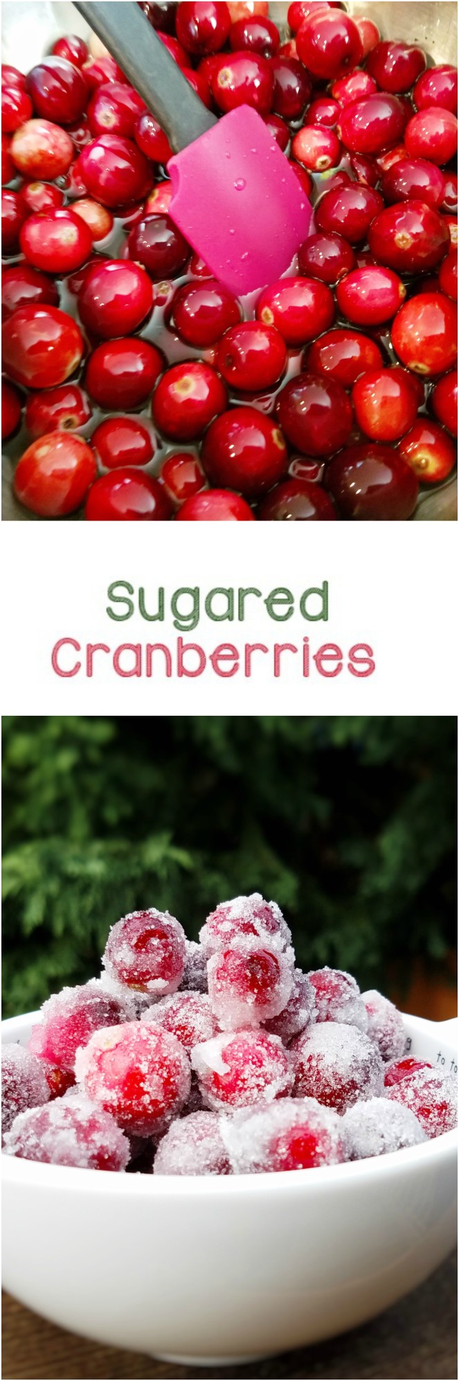 Sugared Cranberries - Rumbly in my Tumbly